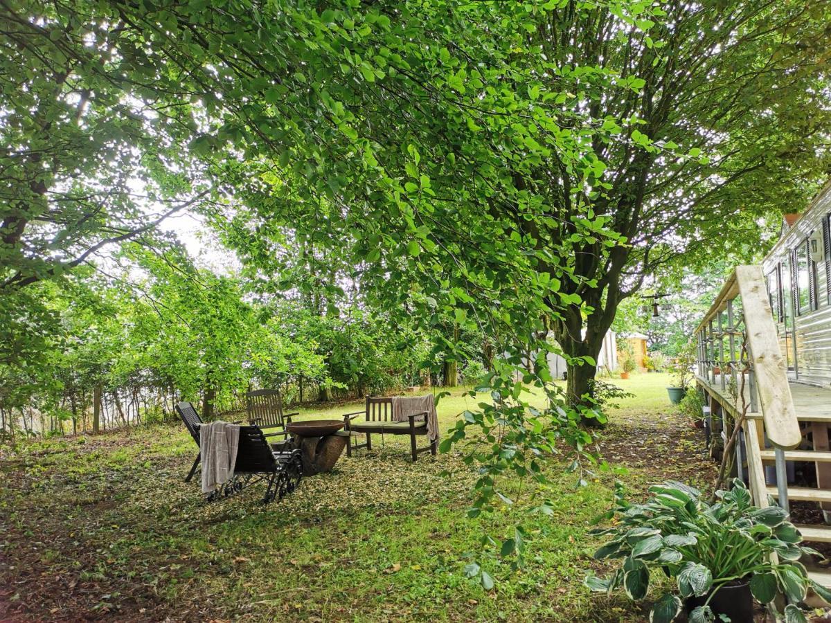 Doughery Den The Dark Hedges Hideaway Armoy Екстер'єр фото