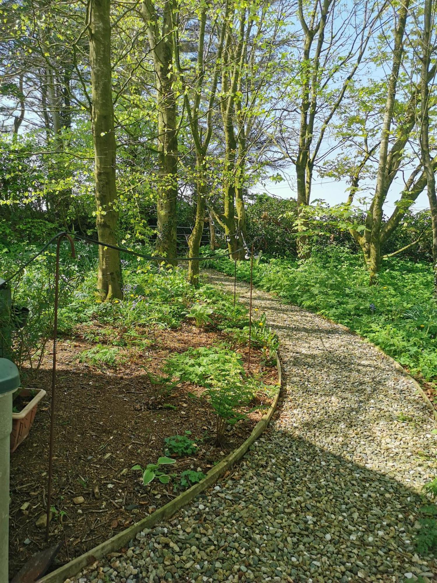 Doughery Den The Dark Hedges Hideaway Armoy Екстер'єр фото